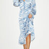 Blue Zebra Print V-Neck Maxi Dress