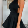 Fashion Casual Solid Backless Halter A Line Dresses