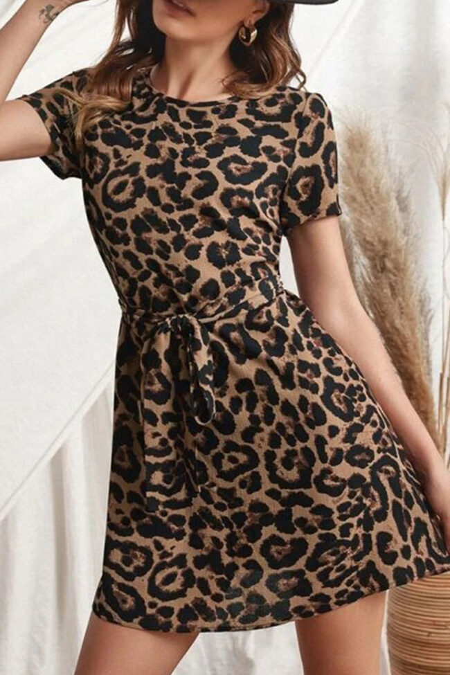 Fashion Street Leopard Split Joint O Neck A Line Dresses