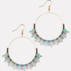 Fashion Earrings