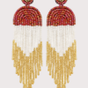 Fashion Earrings