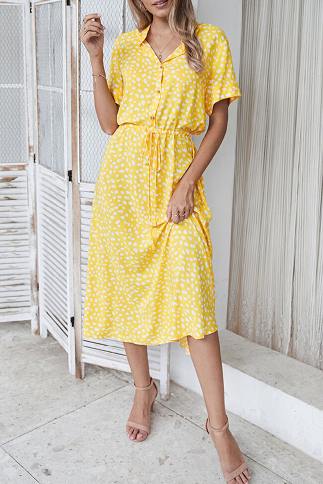 Fashion Street Print Turndown Collar A Line Dresses