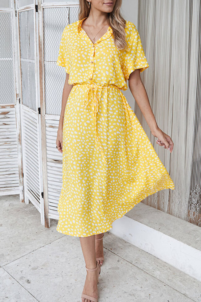 Fashion Street Print Turndown Collar A Line Dresses