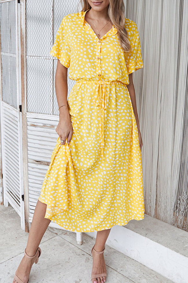 Fashion Street Print Turndown Collar A Line Dresses