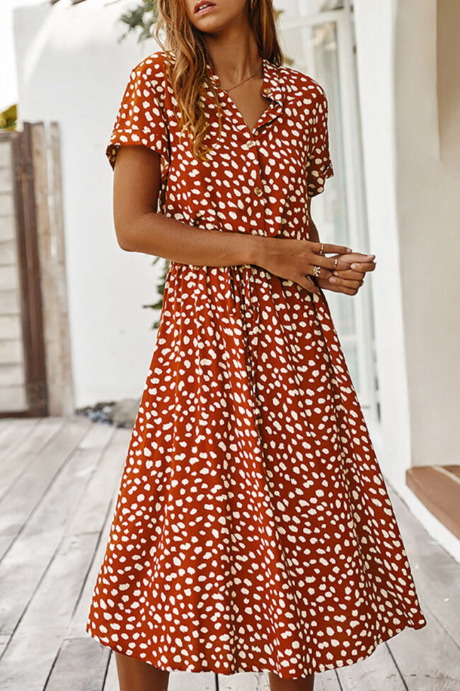 Fashion Street Print Turndown Collar A Line Dresses