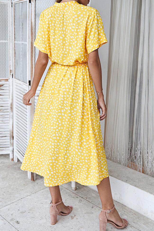 Fashion Street Print Turndown Collar A Line Dresses