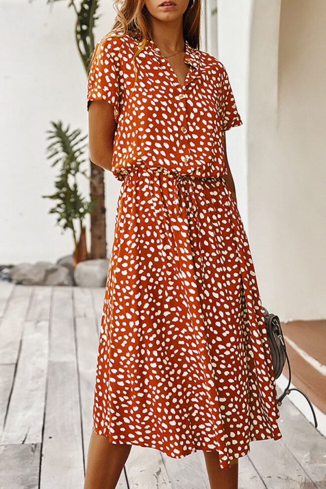 Fashion Street Print Turndown Collar A Line Dresses