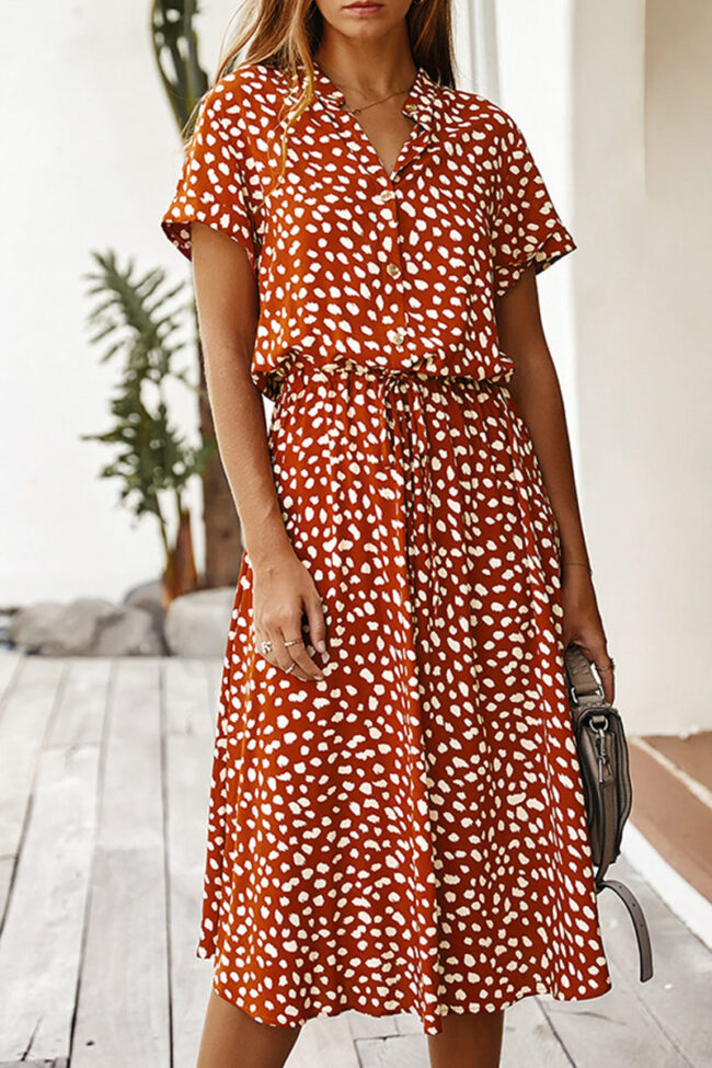 Fashion Street Print Turndown Collar A Line Dresses