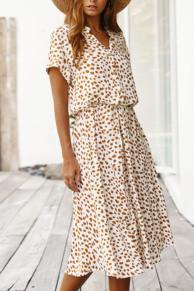 Fashion Street Print Turndown Collar A Line Dresses