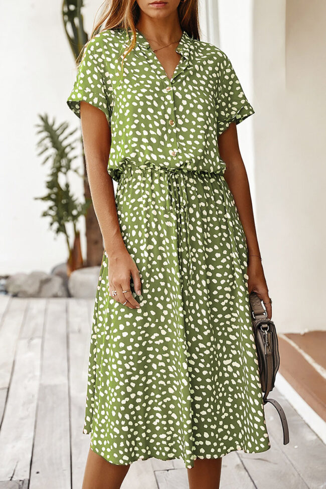 Fashion Street Print Turndown Collar A Line Dresses