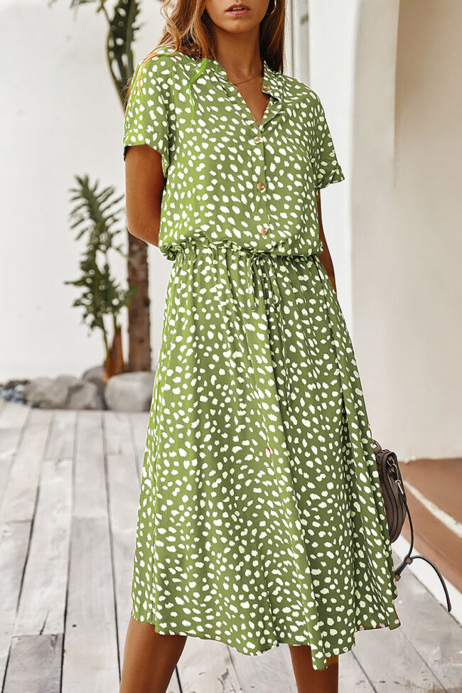 Fashion Street Print Turndown Collar A Line Dresses